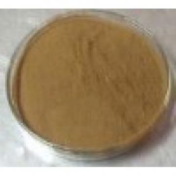 Tribulus Terrestris Powdered Extract